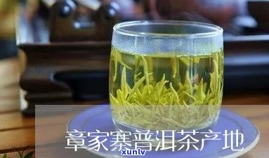 章家寨普洱茶的产地、特点及价格表，了解这款茶叶的关键信息。