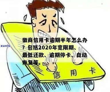 徽商信用卡逾期被停用怎么办：解决 *** 及应对措