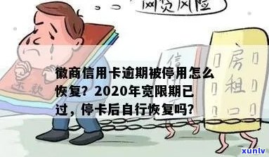 徽商信用卡逾期被停用怎么办：解决 *** 及应对措