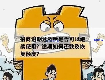 徽商信用卡逾期还款后如何重新启用？