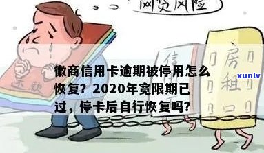 徽商信用卡逾期被停用怎么办：解决 *** 及应对措