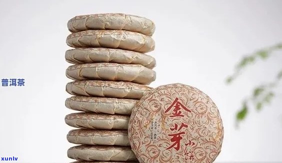 金芽普洱茶饼的市场价位：了解其品质和价值