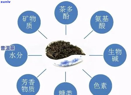 普洱茶饼金芽详解：成分、功效与品质影响因素分析