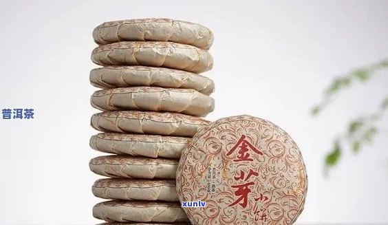 金芽小饼普洱茶：品质与价格全解析，了解金芽及价格走势