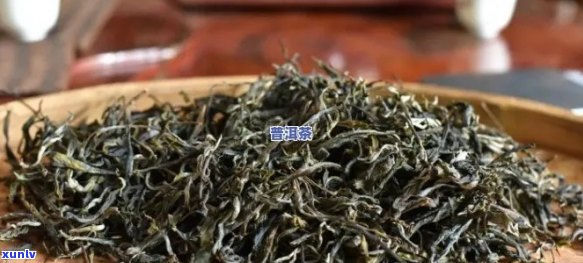 金芽普洱茶品质如何？值得购买吗？