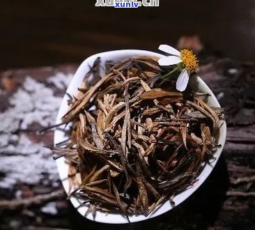 金芽普洱茶品质如何？值得购买吗？