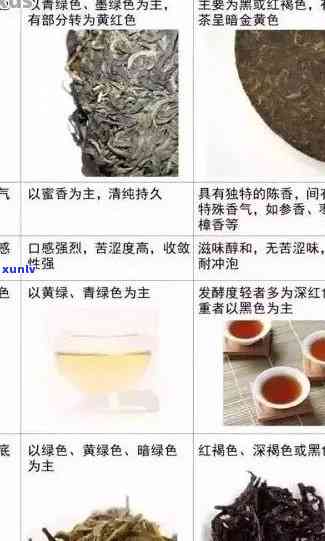 普洱茶珍的外形特征、种类及其品鉴 *** 全面解析