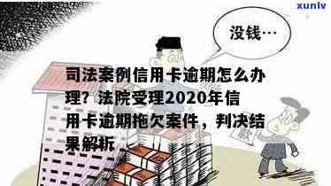 法院判决信用卡逾期案件全面解析：逾期原因、后果与解决办法