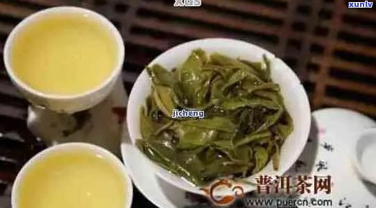 探究古树普洱茶的独特之处：产地、 *** 工艺与品饮体验的比较分析