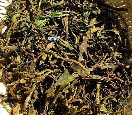 古树普洱茶与普通普洱茶的区别大吗？它们的功效有什么差别？