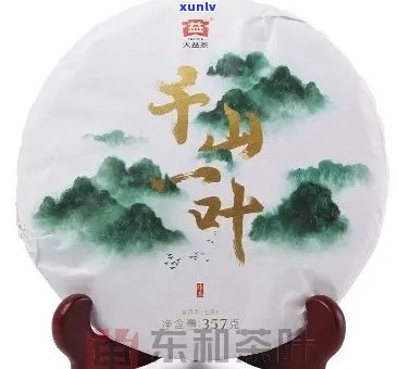 千山一叶普洱茶价钱多少：大益与普洱茶的比较分析