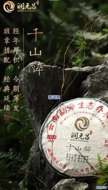 千山一叶普洱茶价钱