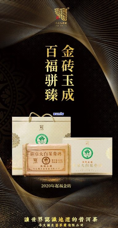 金大福班章大白菜特制精品-金大福大白菜2020年班章