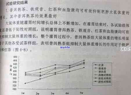 喝普洱茶一天瘦身效果与适宜量：科学分析与实践建议