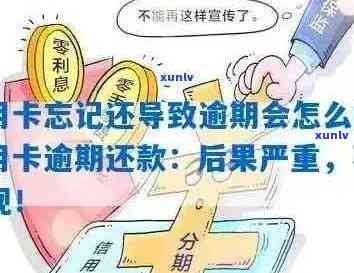 建行VIP用户信用卡逾期后果详细解析，如何避免信用损失？