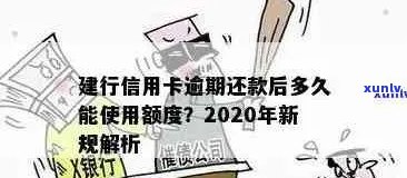 建行VIP用户信用卡逾期后果详细解析，如何避免信用损失？