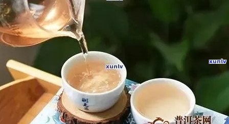 昱申源普洱茶价格-昱申源普洱茶价格表