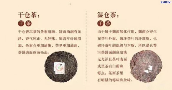 普洱茶的干仓与湿仓：理解其区别与特性