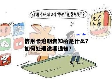 信用卡逾期发出通告函的全面指南：如何撰写、应对及避免逾期后果