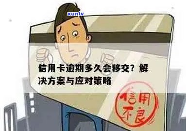 信用卡逾期前转移财产：策略与应对 *** 