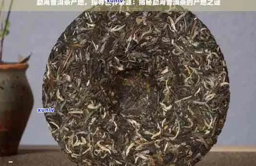 勐腊最出名的普洱茶：品质、产地、 *** 工艺与品鉴 *** 全面解析