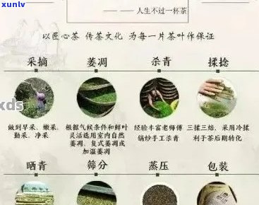 勐腊最出名的普洱茶：品质、产地、 *** 工艺与品鉴 *** 全面解析