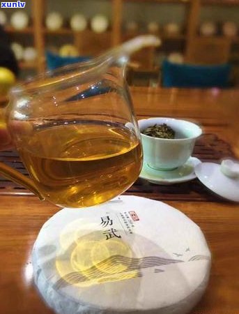 勐腊县：探索普洱茶的产地，了解其独特的风味与魅力