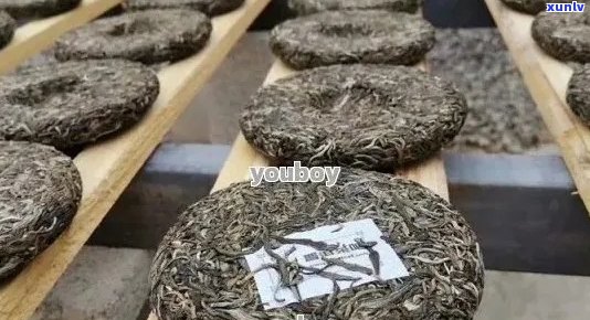 勐腊最出名的普洱茶：品质、产地、 *** 工艺与品鉴 *** 全面解析