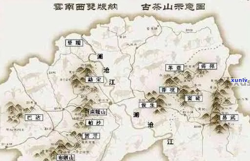 普洱茶产自哪里？探寻全球知名产茶地及其特色普洱茶品种