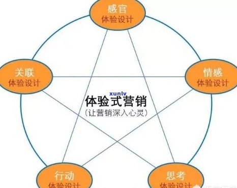 普洱茶运营完整方案及团队管理：如何撰写与总监相关的问题解答