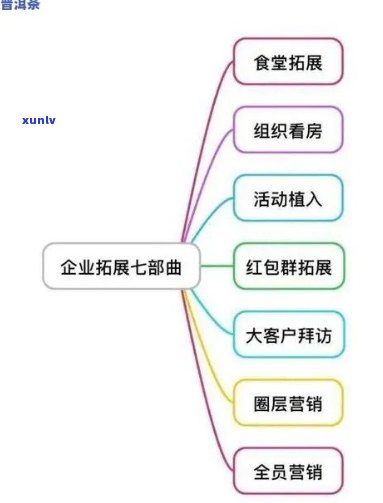 普洱茶运营完整方案及团队管理：如何撰写与总监相关的问题解答