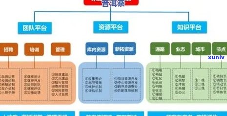 普洱茶运营完整方案及团队管理：如何撰写与总监相关的问题解答