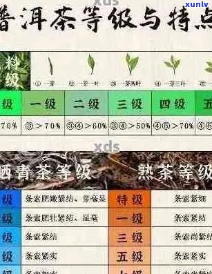 普洱茶的尺寸：探索各种尺寸对品质和冲泡的影响