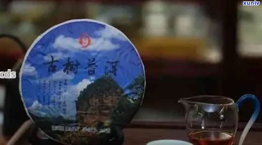 云南古树普洱茶：一箱尽享山野韵味与陈年香气的臻品