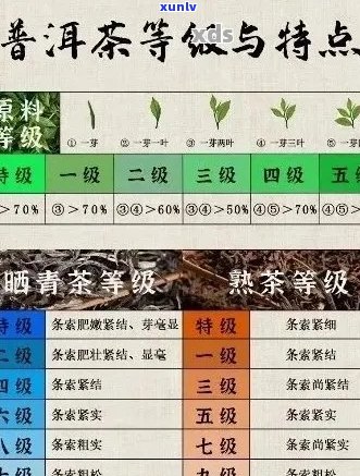 普洱茶一斤：品种、产地、年份、口感、功效、冲泡 *** 及价格全面解析