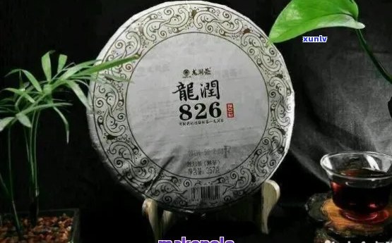 黑龙江龙润普洱茶专营店：品味越，体验非凡