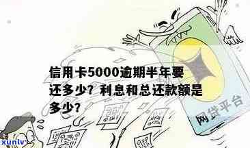 信用卡逾期5000元半年不还款的后果及解决 *** 全面解析