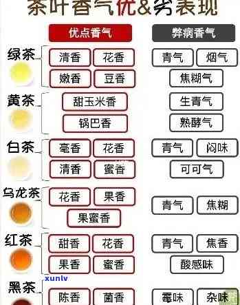 普洱茶香的五大层次解析：从产地到品饮，全面了解普洱茶的香气特点