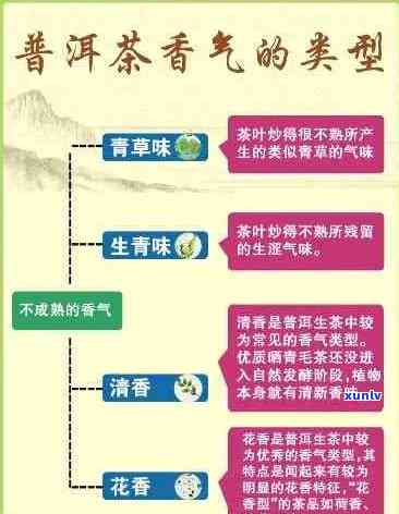 普洱茶香的五大层次解析：从产地到品饮，全面了解普洱茶的香气特点