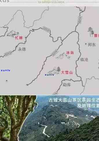 大雪山与板山：探寻普洱茶的秘境之旅