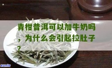 青柠普洱茶加奶：清肠效果、适用人群与注意事项的全面解析