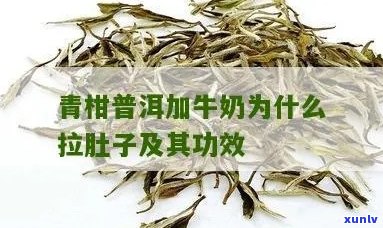 青柠普洱茶加奶：清肠效果、适用人群与注意事项的全面解析