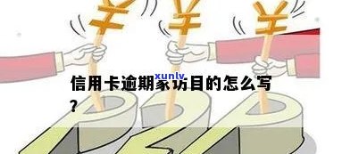 新信用卡逾期：理解影响、制定还款计划和家访目的