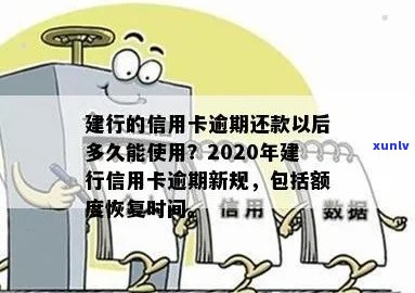 建行信用卡逾期还款后多久能恢复使用额度？2020年和XXXX年的逾期新政策解读