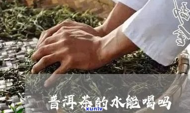 普洱茶当水喝有事吗