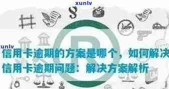 十几张信用卡逾期的全面解决策略：原因、影响、应对措及信用修复指南