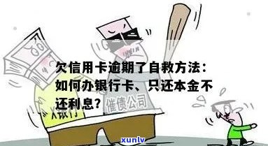 欠信用卡逾期了自救的办法：出台减免信用卡逾期政策，怎么办？