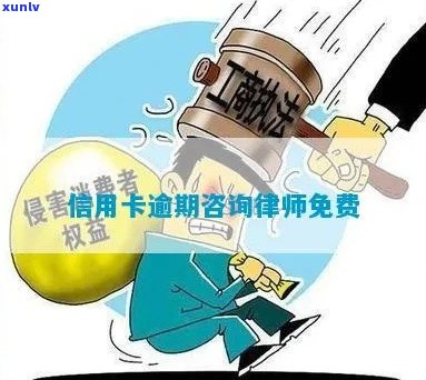 州信用卡逾期律师咨询