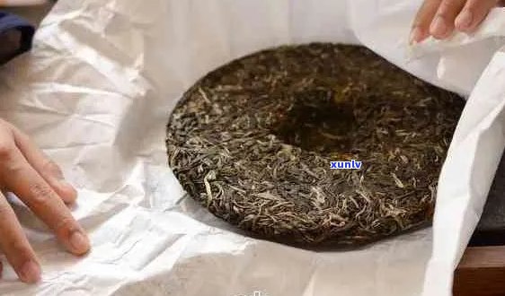 如何巧妙地移除大益普洱茶饼的外壳：一份详尽指南