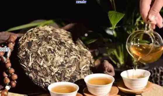 长时间存的普洱茶是否适宜饮用？购买与保存普洱茶应注意什么？